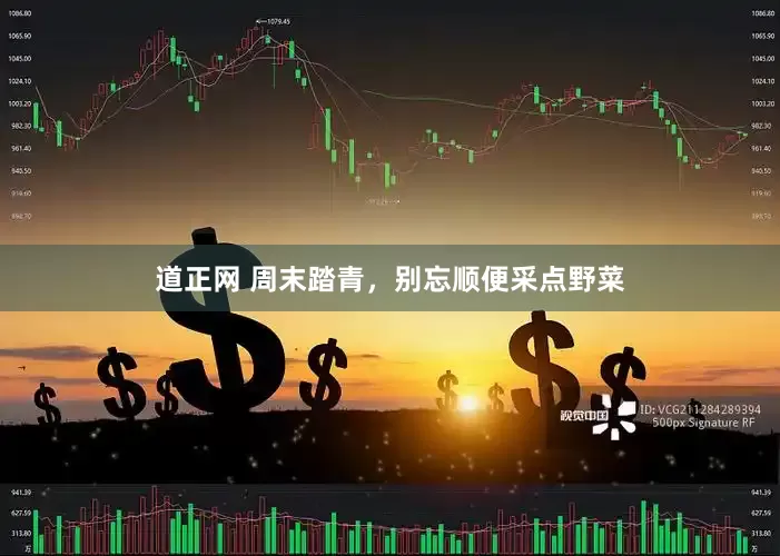 道正网 周末踏青，别忘顺便采点野菜