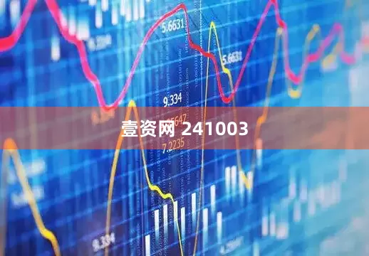 壹资网 241003