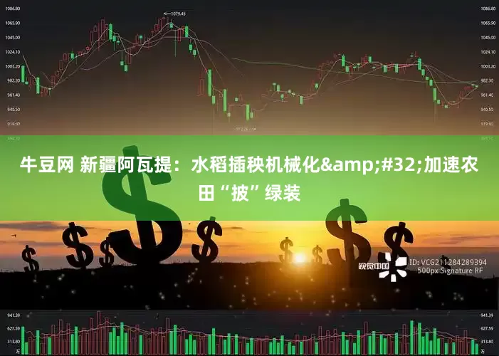 牛豆网 新疆阿瓦提：水稻插秧机械化&#32;加速农田“披”绿装